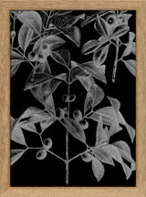Botanical Study III. Mini Print
