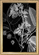 Botanical Study V. Mini Print