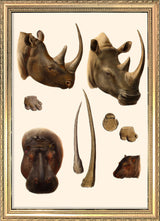 Hippopotamus & Rhinoceros. Mini Print