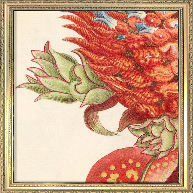 Red Pineapple Close Up. Mini Print