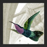 Flying Purple and Green Hummingbird. Mini Print