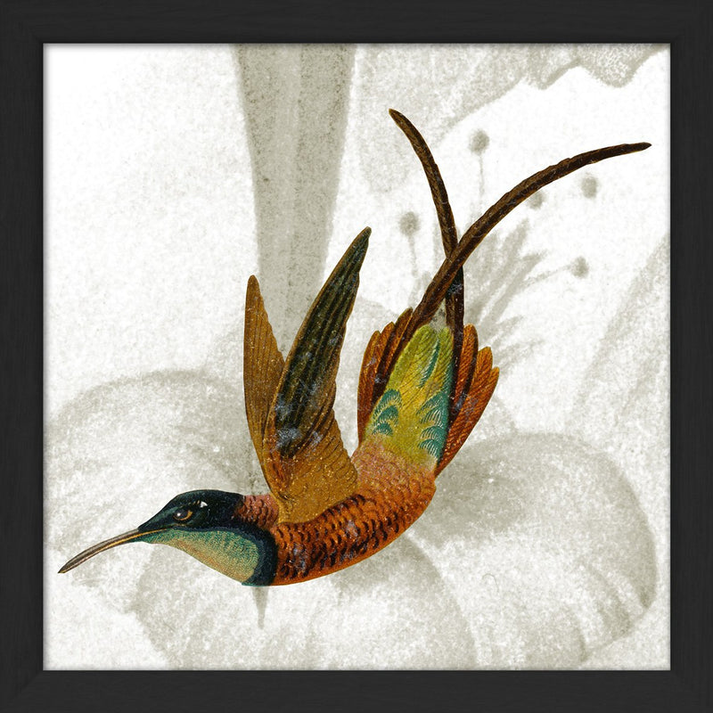 Eggs & Birds. Print #SQ059