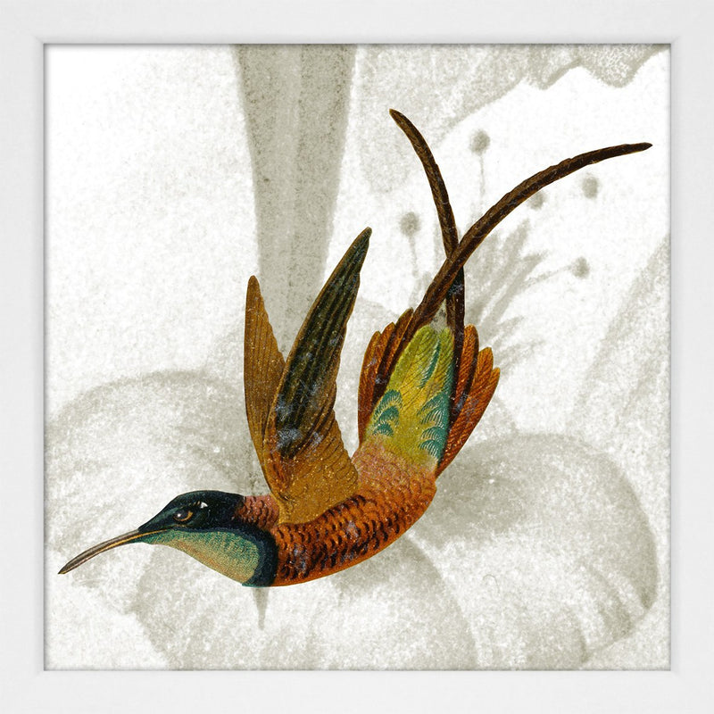 Eggs & Birds. Print #SQ059