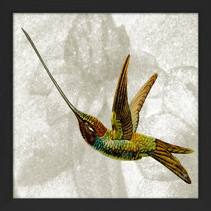 Flying Hummingbird. Mini Print