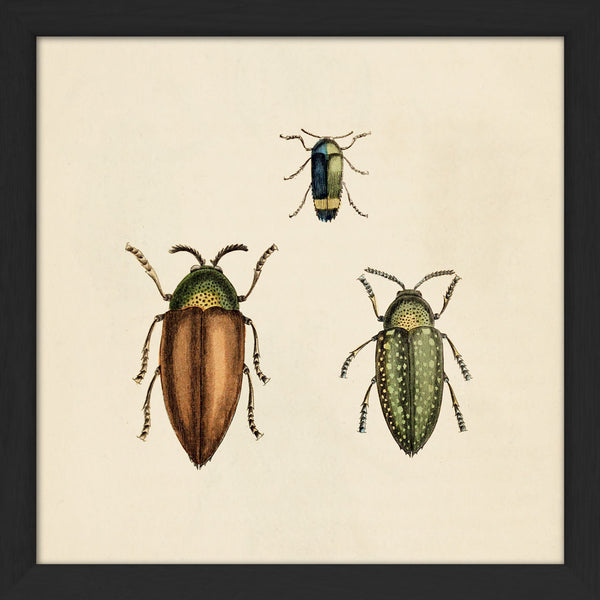 Three Beetles. Mini Print