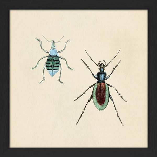 Two Beetles. Mini Print