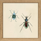 Two Beetles. Mini Print