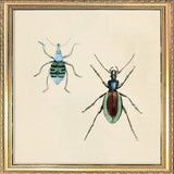 Two Beetles. Mini Print