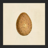Brown Dotted Egg. Mini Print