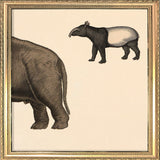 Elephant Rear and Tapir. Mini Print