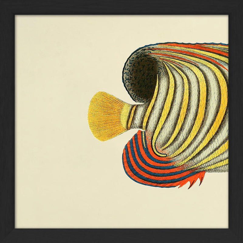 Yellow Striped Fish Tail. Mini Print