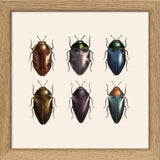 Six Beetles. Mini Print