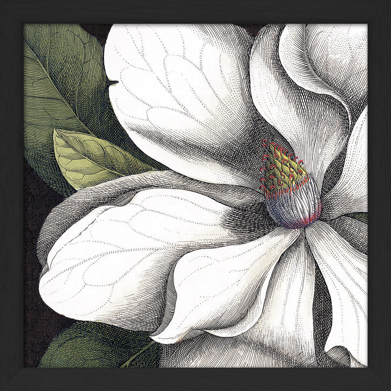 White Magnolia Close Up. Mini Print