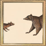 Ring-Tailed Cat Head and Raccoon Head. Mini Print