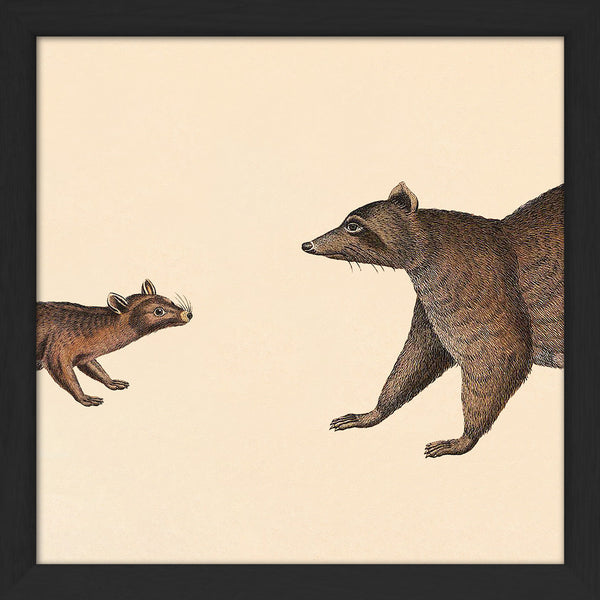Ring-Tailed Cat Head and Raccoon Head. Mini Print
