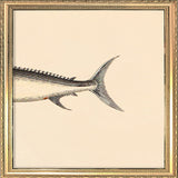 Sword Fish Rear. Mini Print
