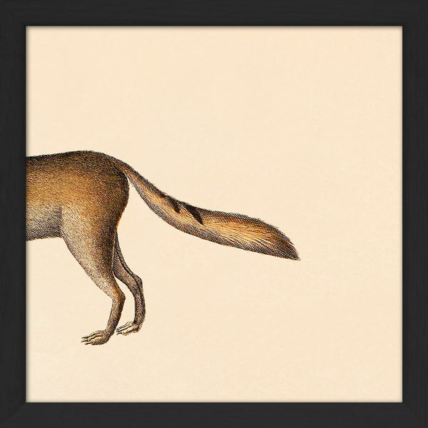 Fox Rear. Mini Print