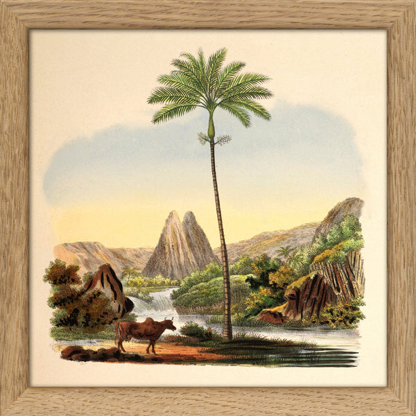 Palm. Mini Print