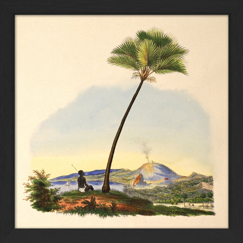 Palm and Man. Mini Print