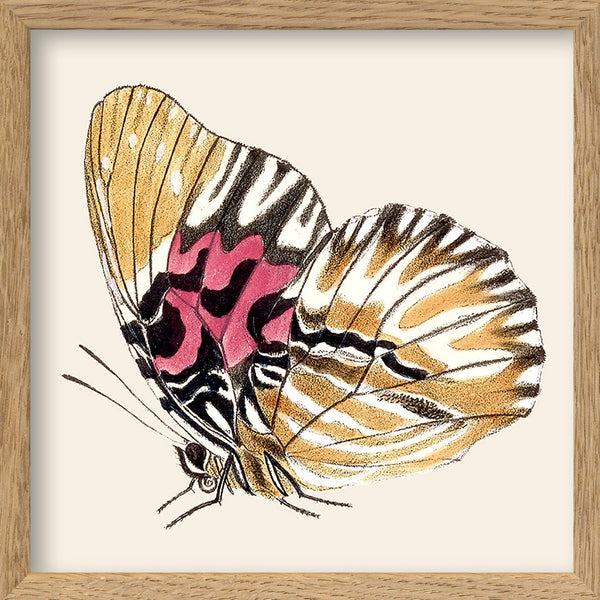 Yellow Butterfly. Mini Print