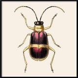 Purple and Gold Insect. Mini Print