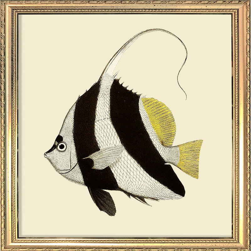 Black and White fish. Mini Print