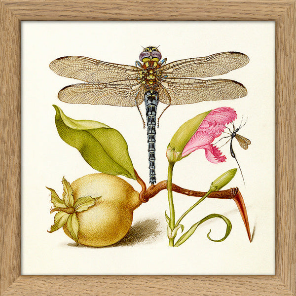 Dragonfly. Mini Print