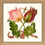 Worm and Tulips. Mini Print