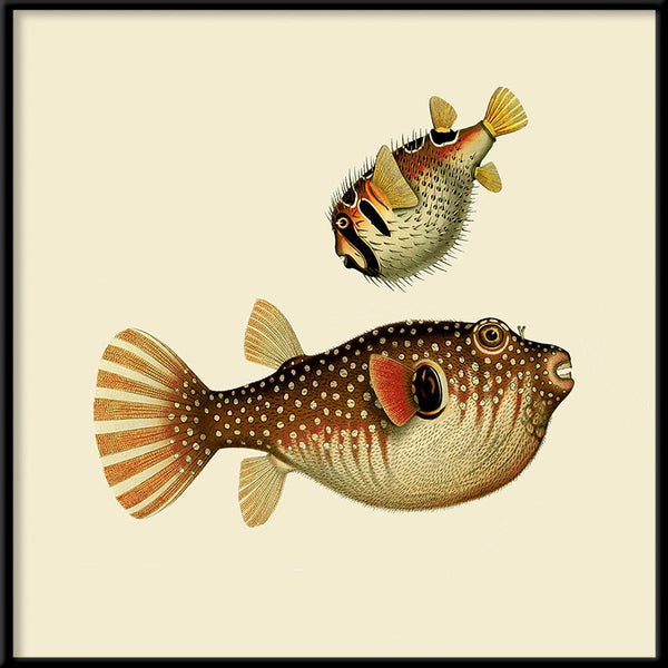 Two Fishes. Mini Print