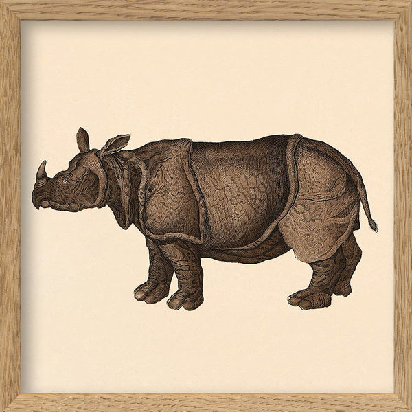 Rhino. Mini Print