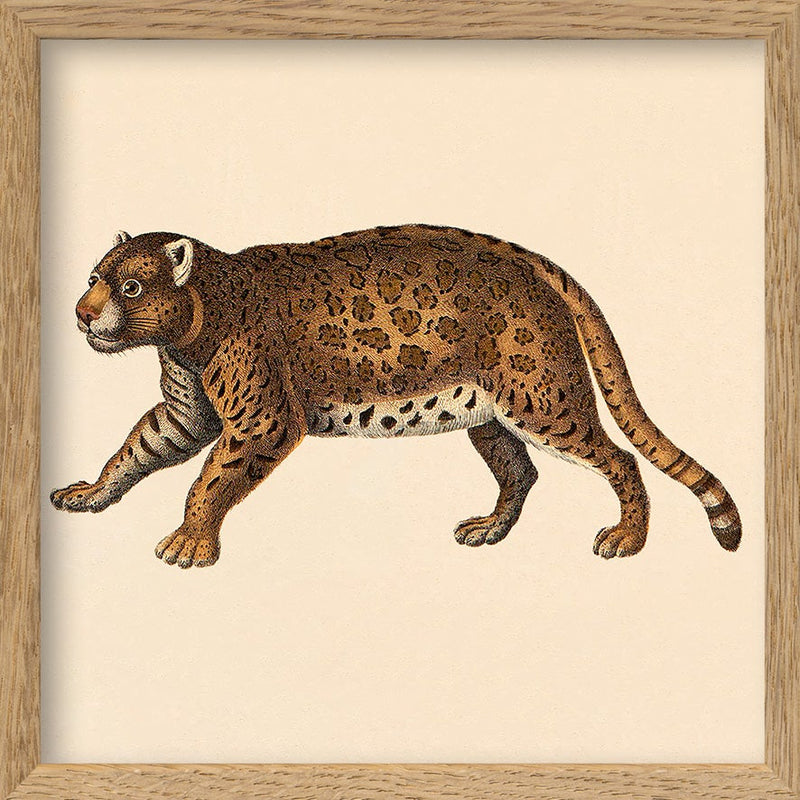 Leopard. Mini Print