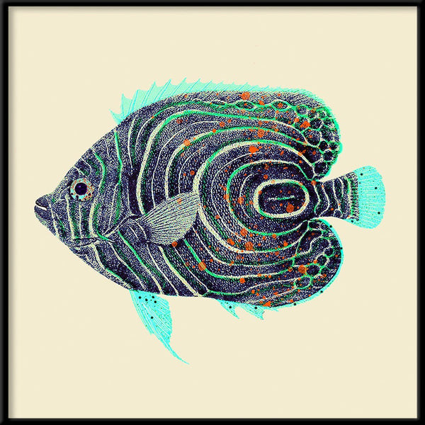 Blue and turquoise fish. Mini Print