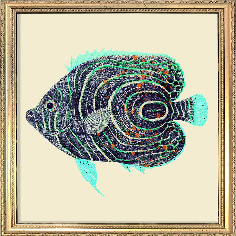 Blue and turquoise fish. Mini Print
