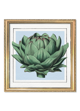Artichoke. Mini Print