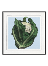 Brocoli. Mini Print