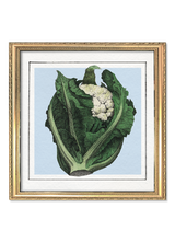 Brocoli. Mini Print