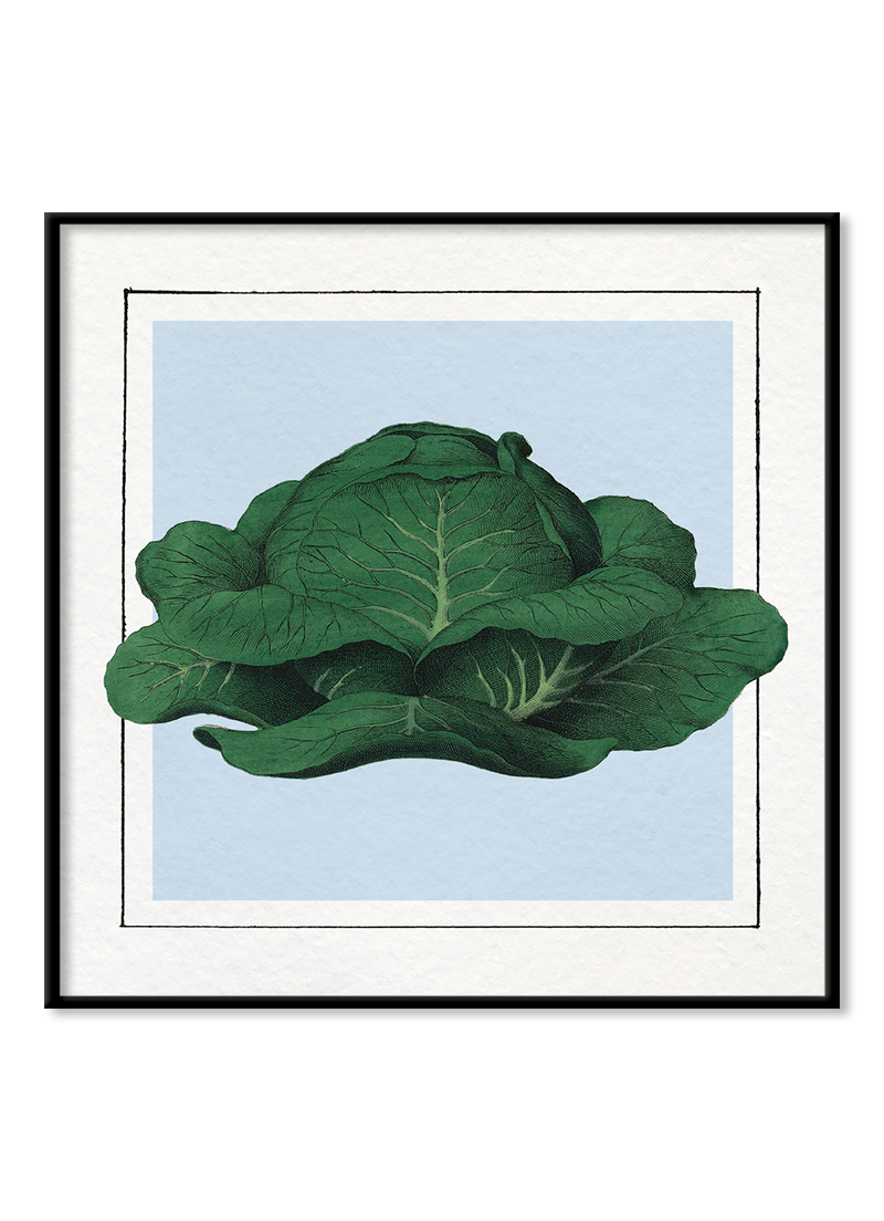 Cabbage Mini Print