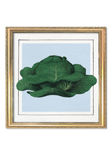 Cabbage Mini Print