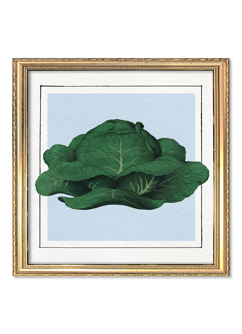 Cabbage Mini Print