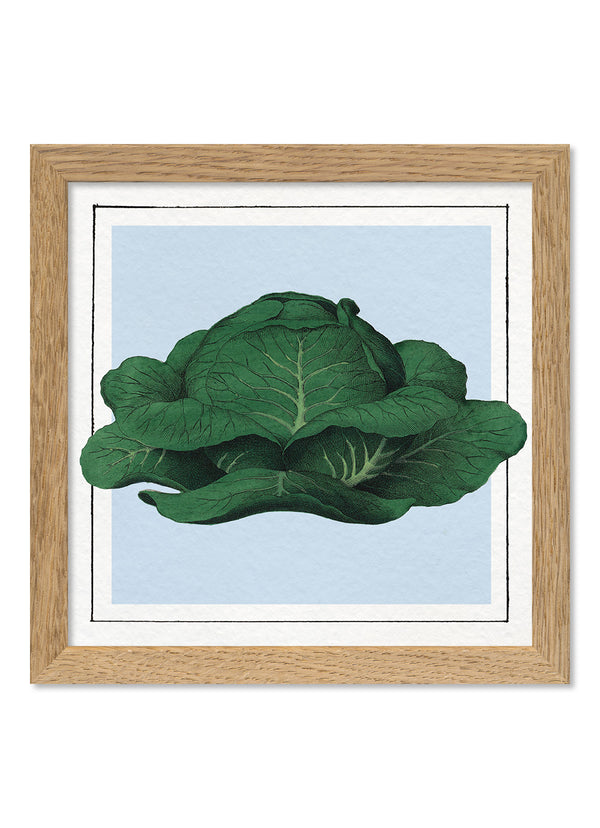 Cabbage Mini Print