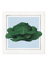 Cabbage Mini Print