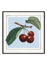 Cherries. Mini Print