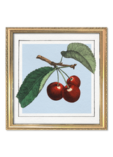 Cherries. Mini Print