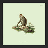 Monkey no 2. Mini Print