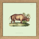 Rhinoceros. Mini Print