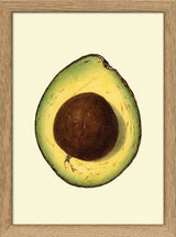 Avocado Open Close Up. Mini Print