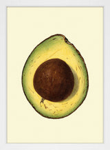 Avocado Open Close Up. Mini Print