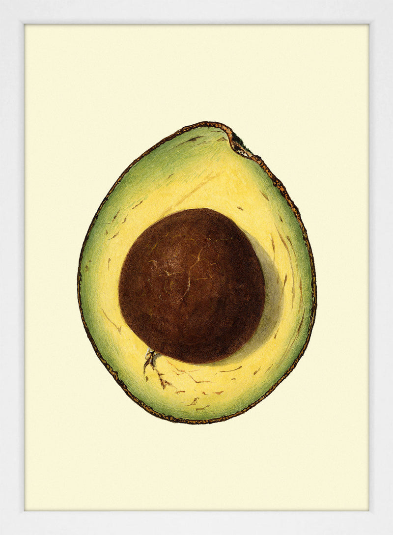 Avocado Open Close Up. Mini Print