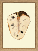 Cherimoya mini open
