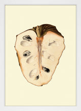 Cherimoya mini open
